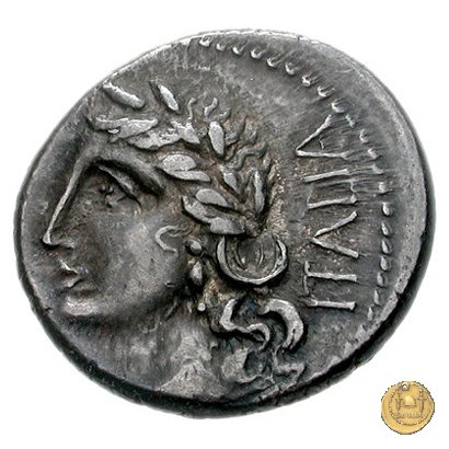 3d - Giuramento a otto 90 BC (Corfinium) 3d - Giuramento a otto 90 BC (Corfinium)